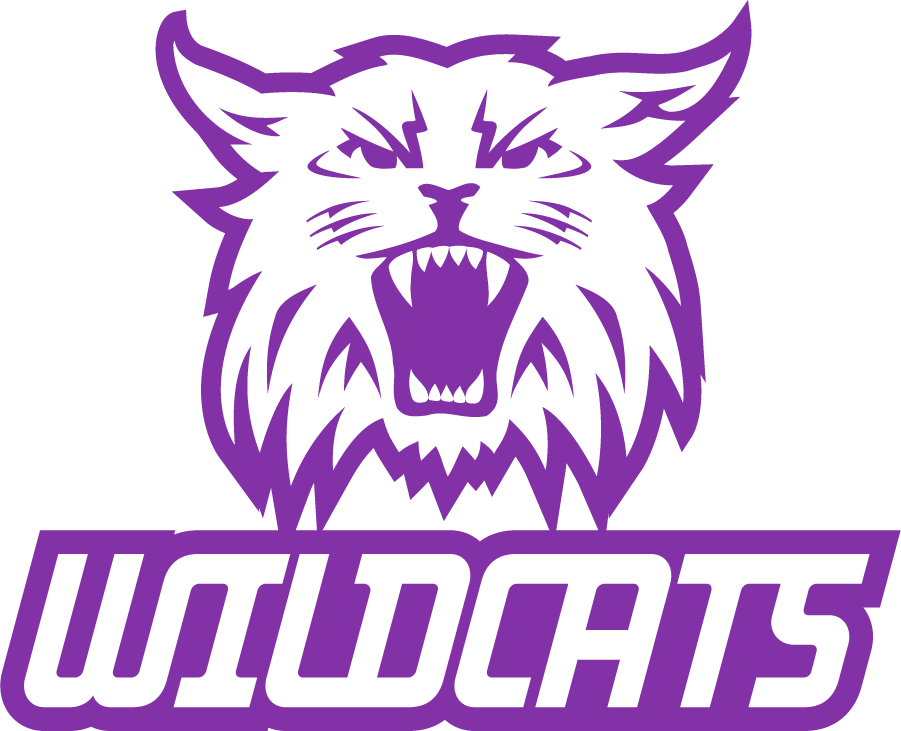 Weber State Wildcats 2008-2012 Secondary Logo v2 diy iron on heat transfer